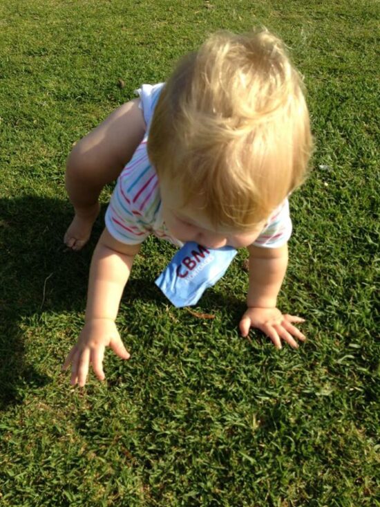 What does a Mortgage Broker cost