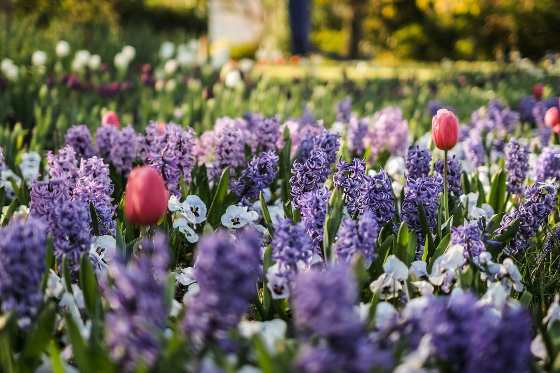 Australia’s peak property season is underway, and spring 2026 is shaping up as a buyers’ market.