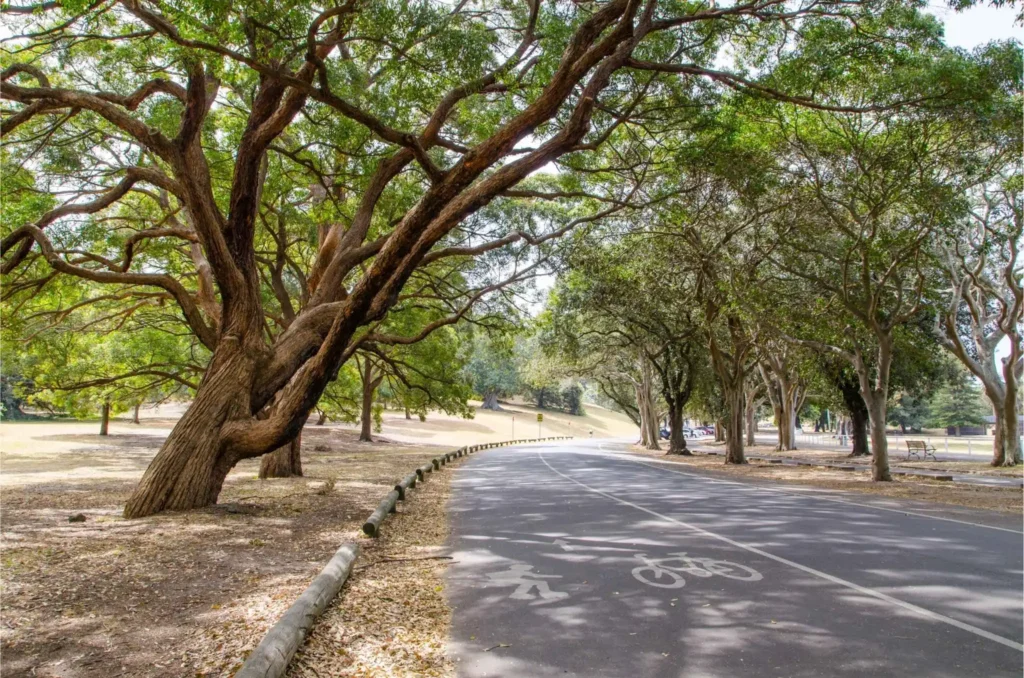 Queens Park parkland and walking paths – CBM Mortgages Queens Park mortgage broker